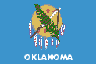 Oklahoma State Flag